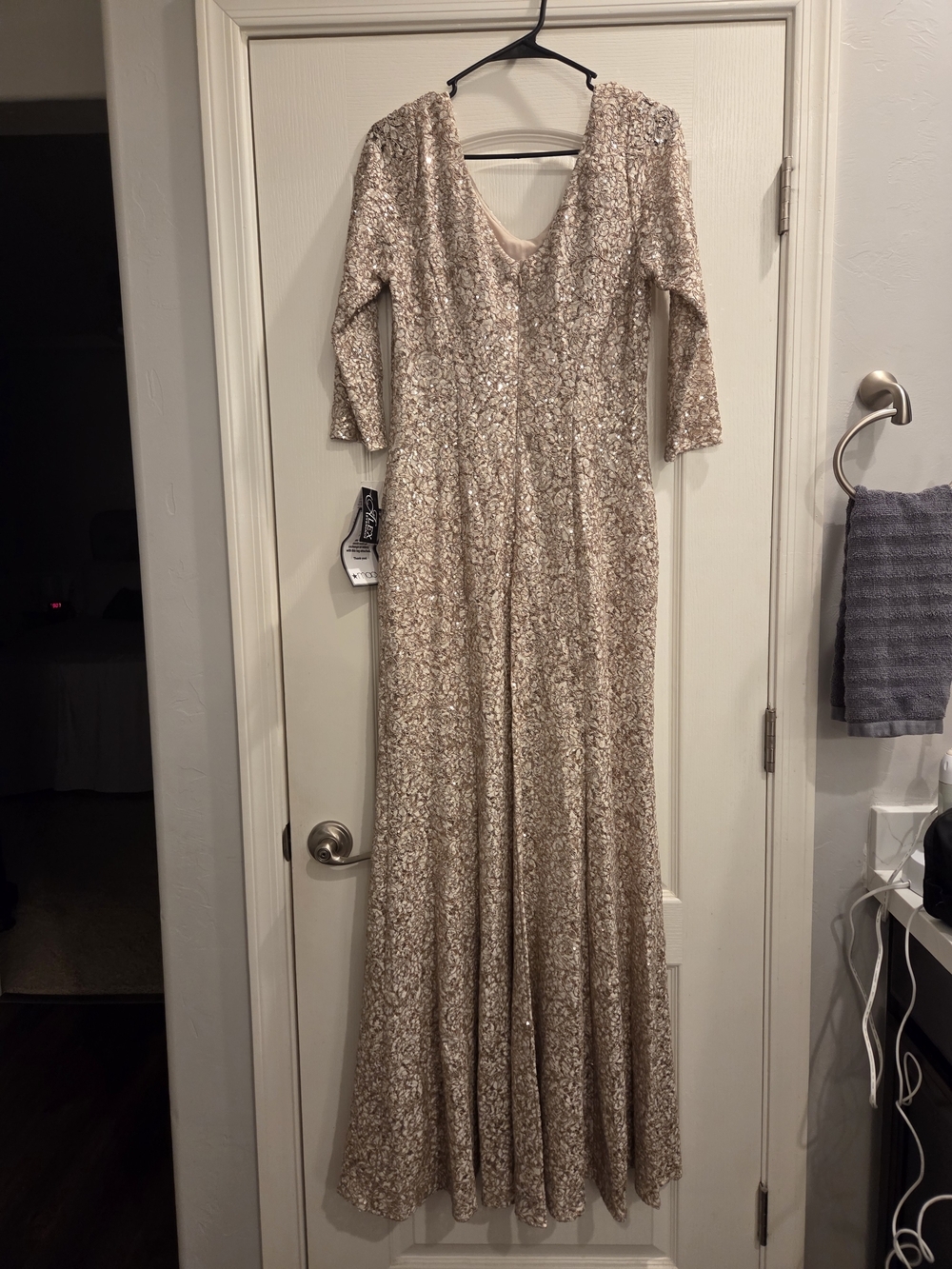 Alex Evenings Champagne Sequin Long Sleeve Gown - Picture 6 of 6